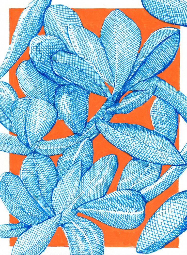 Leuchtender botanischer Pop von Katie O'Shea