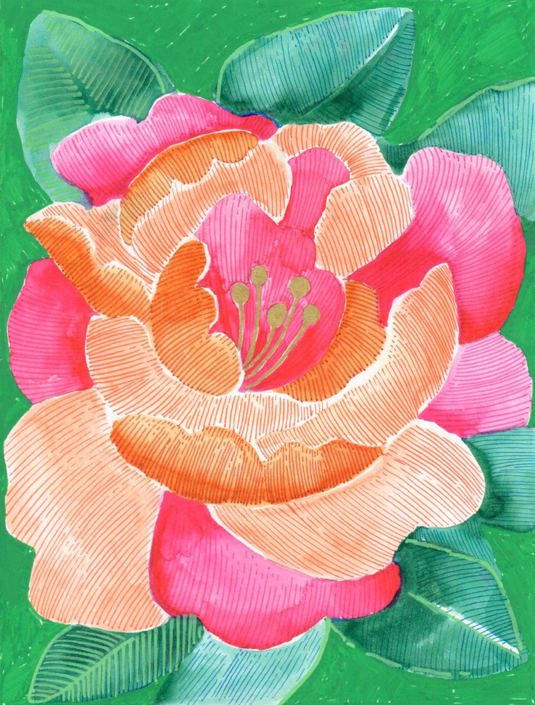 Leuchtende Blumenblüte von Katie O'Shea