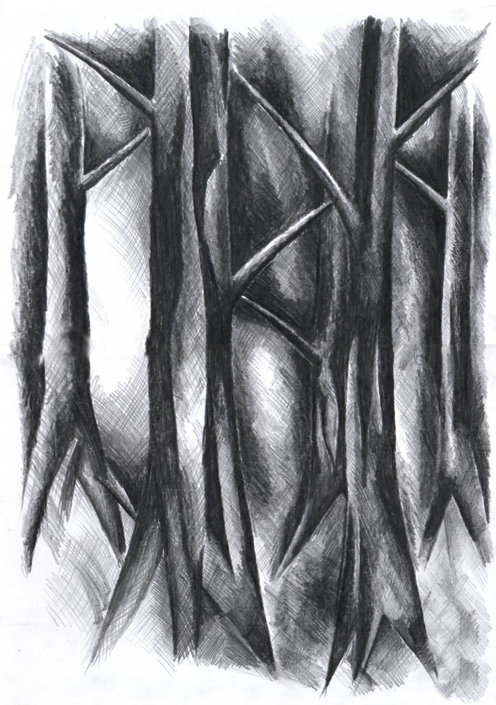 Dunkler Mysteriöser Wald von Kulik
