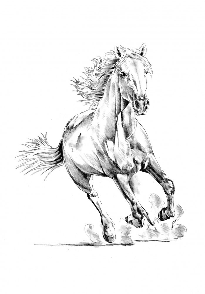 Dynamisches galoppierendes Pferd von Kulik