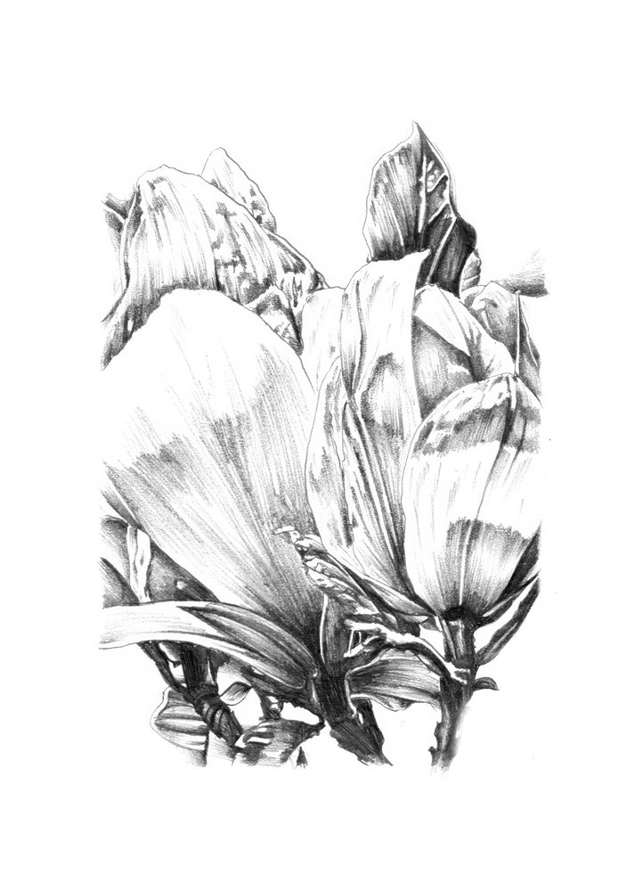 Elegante Blumenstudie von Kulik