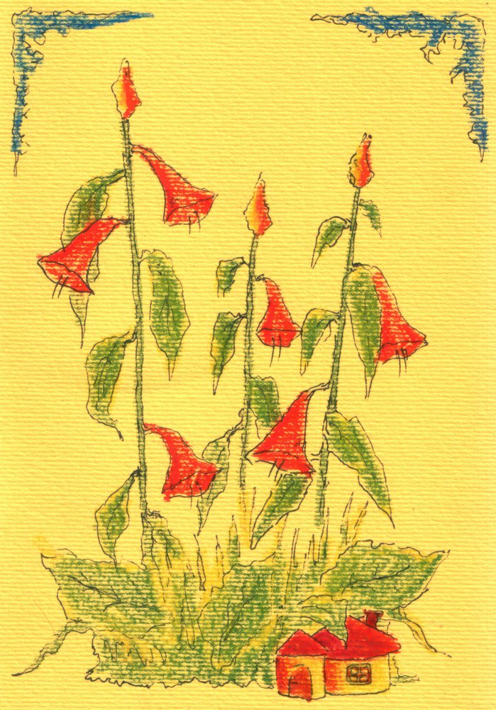 Rote Glockenblumenhaus von Kulik