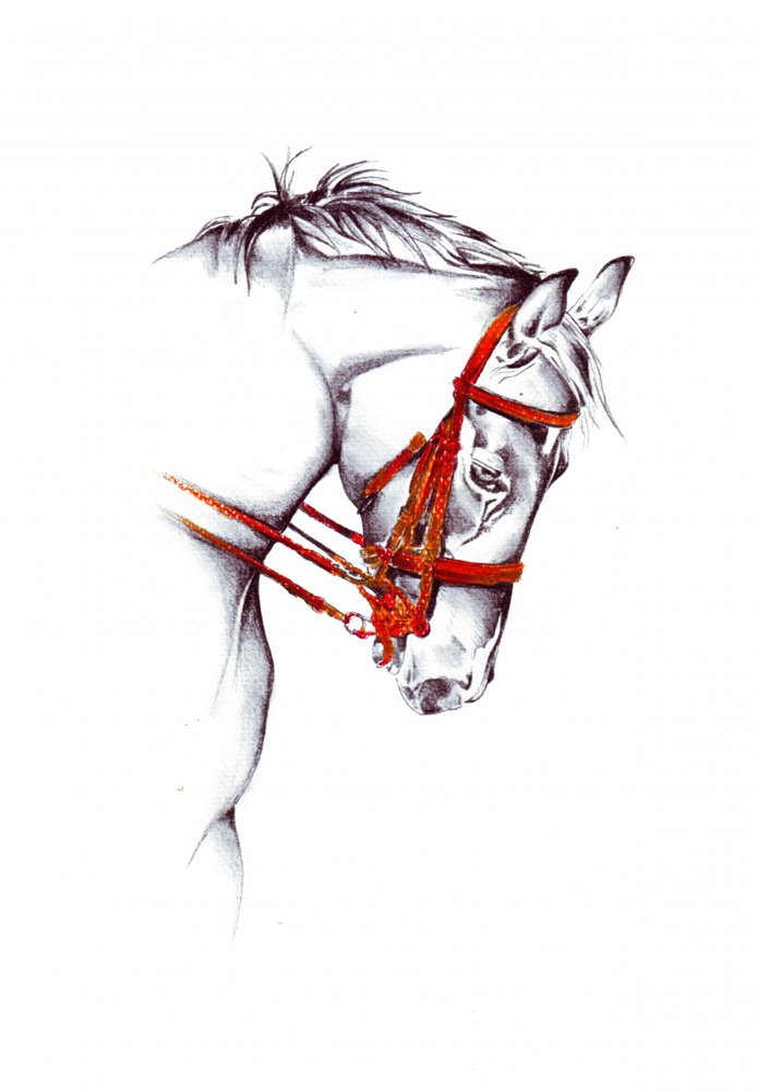 Rotes Zaumzeug Pferd Skizze von Kulik