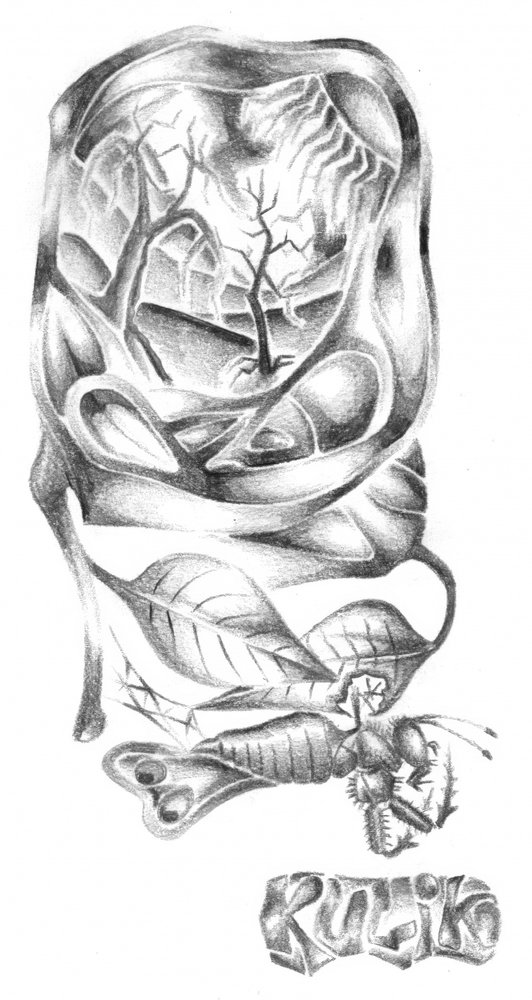 Surrealer Waldinsekt von Kulik
