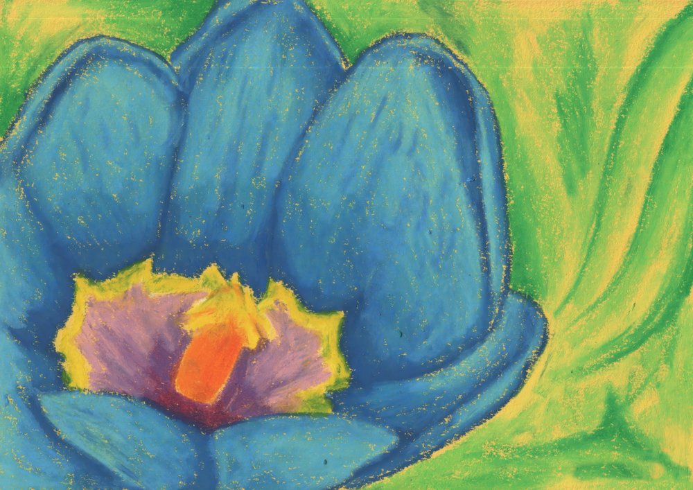 Lebhafte blaue Blüte von Kulik
