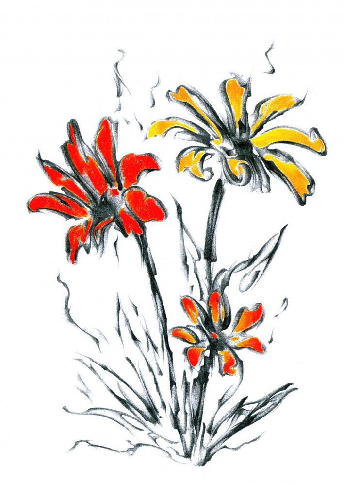 Lebendige Blumenskizze von Kulik