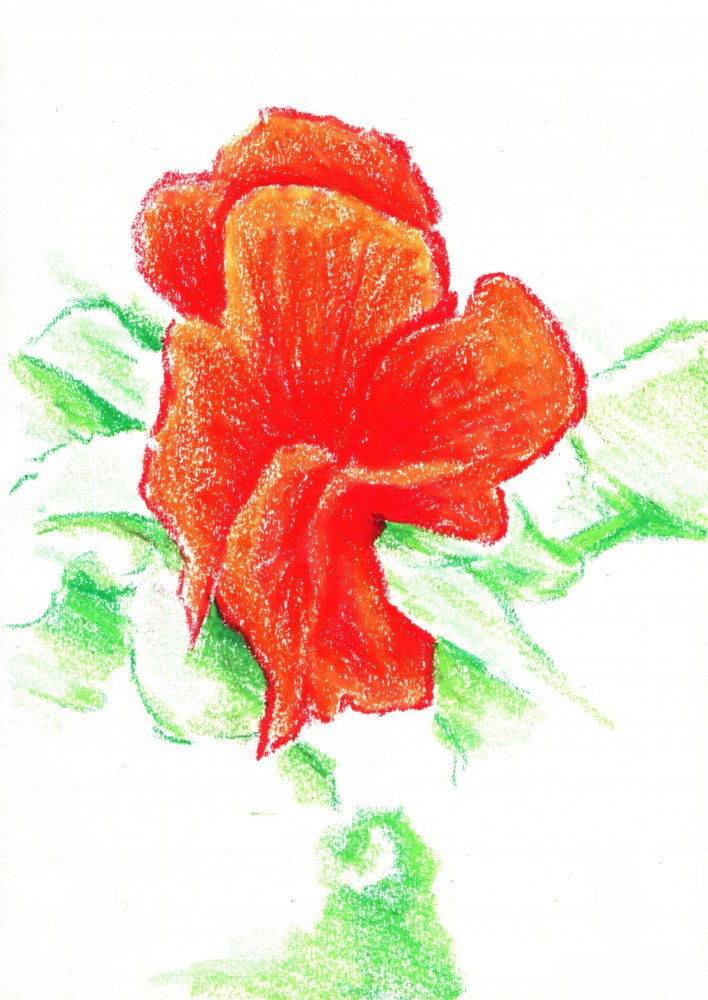 Lebendige rote Blüte von Kulik