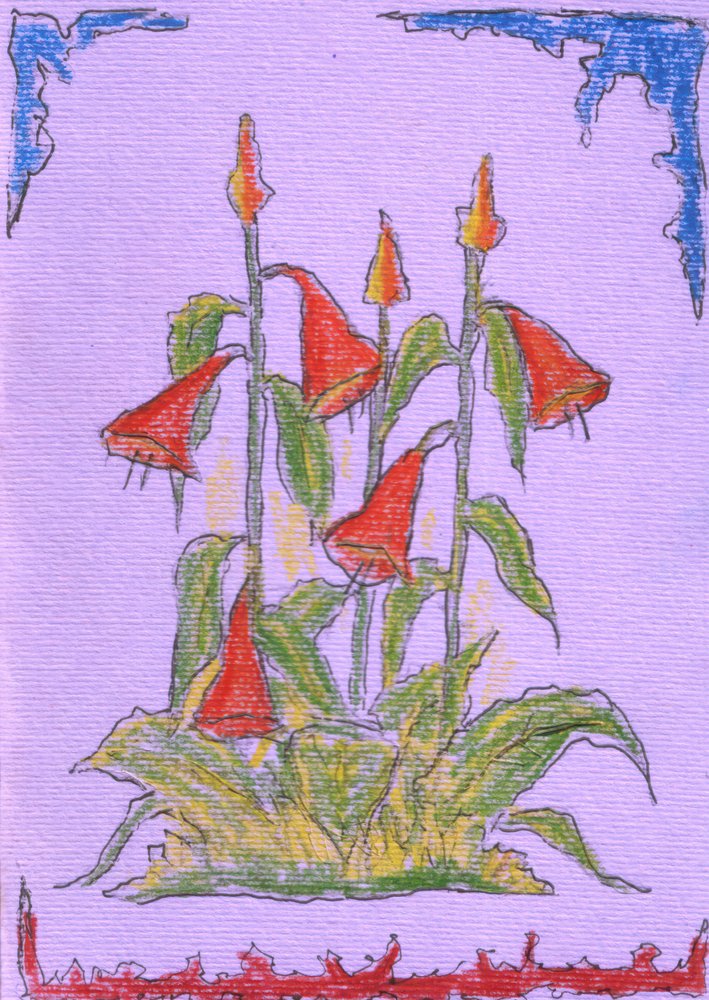 Lebendige Rote Blüten von Kulik