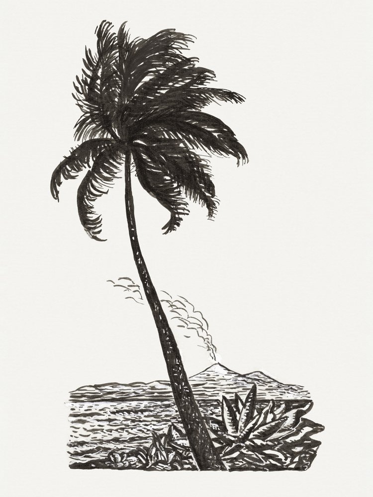 Palme mit einer Insel (ca. 1891–1941) von Leo Gestel