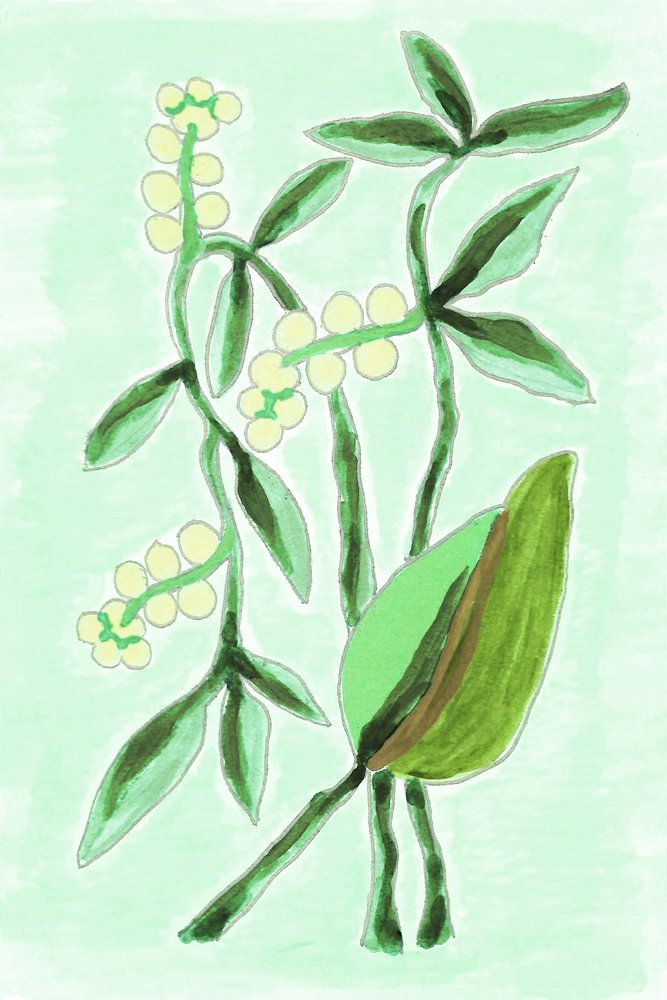 Frisches Botanisches Grün von Lori Ann Folz