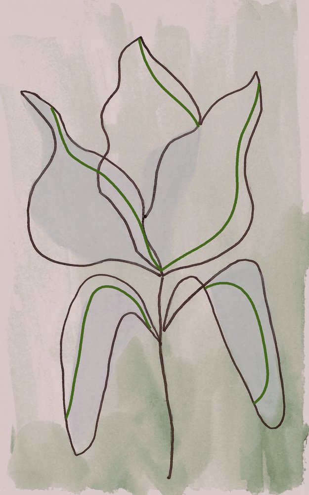 Minimalistische Botanische Umrisse von Lori Ann Folz
