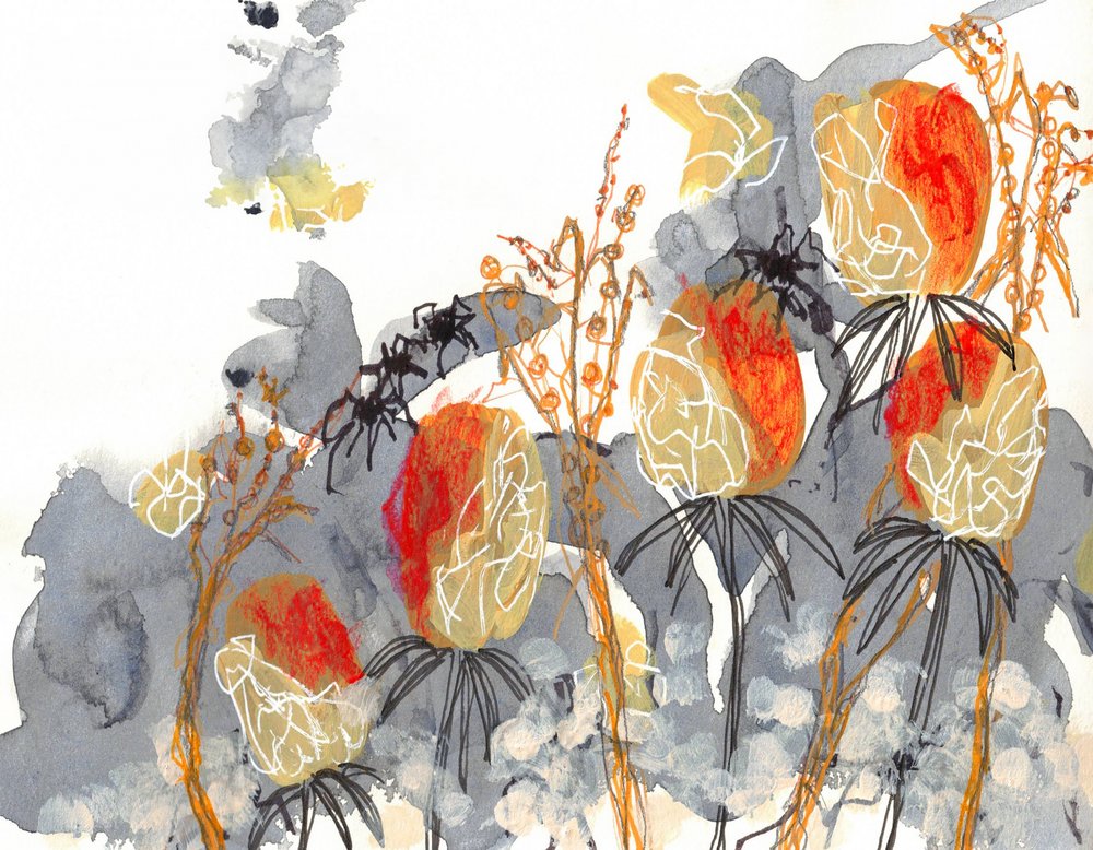 Orange Banksia mit Spinnen von Lori Ann Folz
