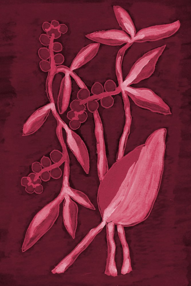 Samenkapsel 1 Kirschrot von Lori Ann Folz