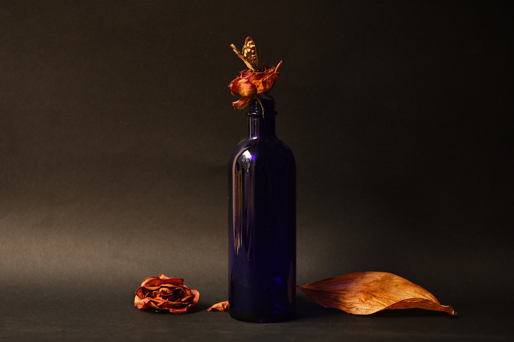 Getrocknete Rose blaue Flasche von Ludmila Shumilova