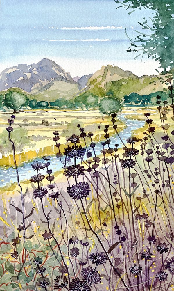 Bergfluss Wildblumen von Luisa Millicent