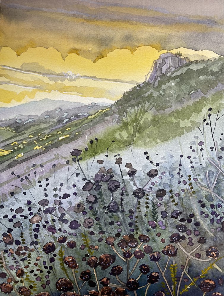 Bergsonnenuntergang Wildblumen von Luisa Millicent