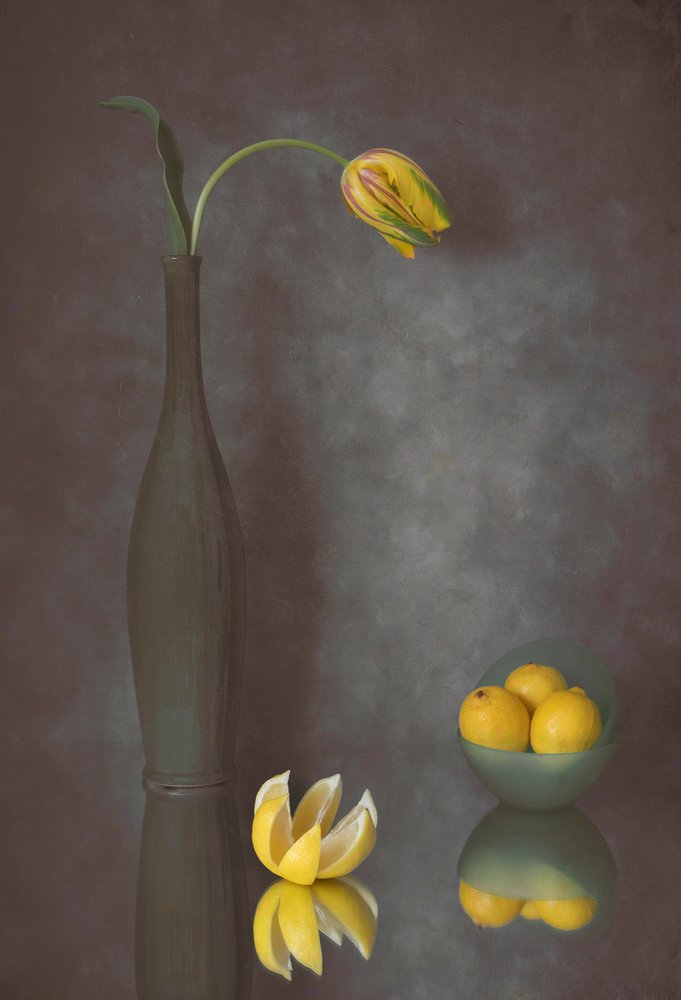 Anmutige Tulpe und Zitronen von Lydia Jacobs