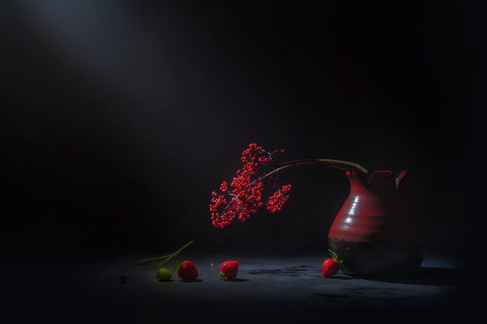 Stimmungsvolle rote Beeren von Lydia Jacobs