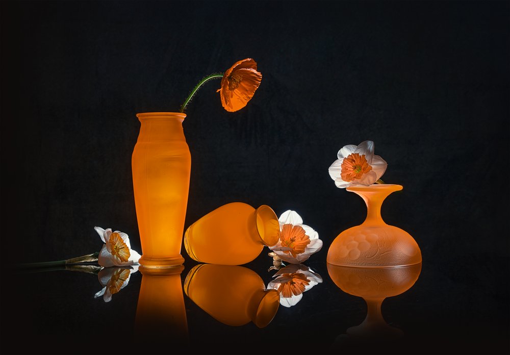 Orange Blüten Stillleben von Lydia Jacobs