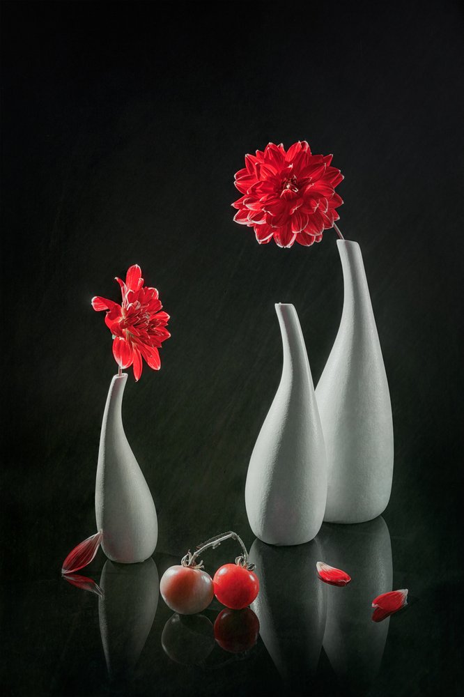 Rote Dahlien und Vasen von Lydia Jacobs