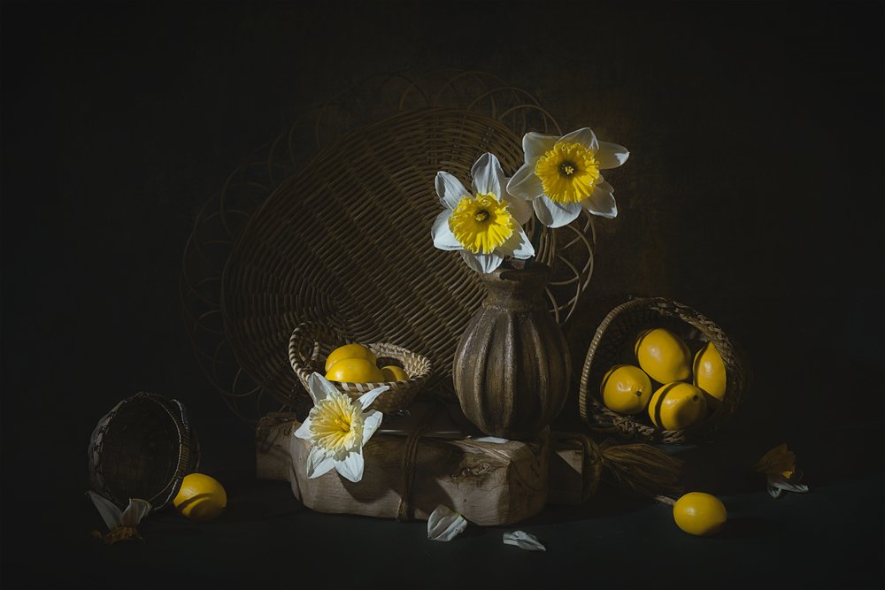Frühlingsnarzissen und Zitronen von Lydia Jacobs