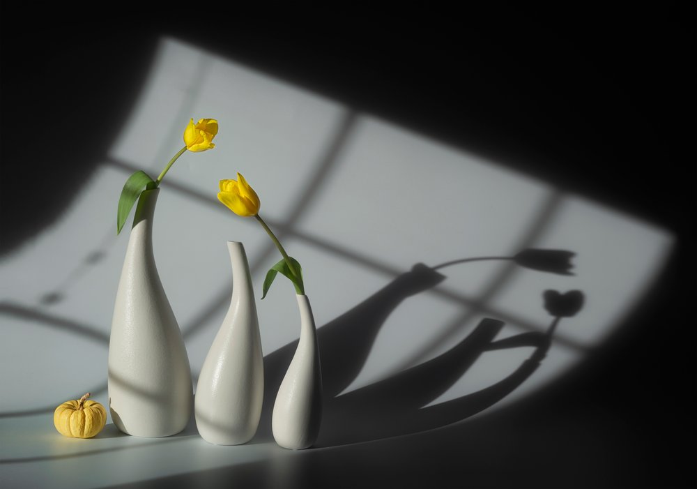 Sonnenbeschienene Tulpen und Schatten von Lydia Jacobs
