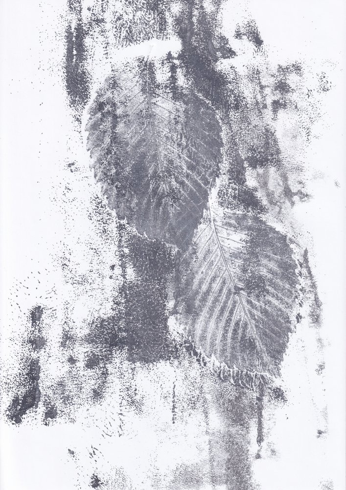 Abstrakte Blatttexturen von Maira Ribena