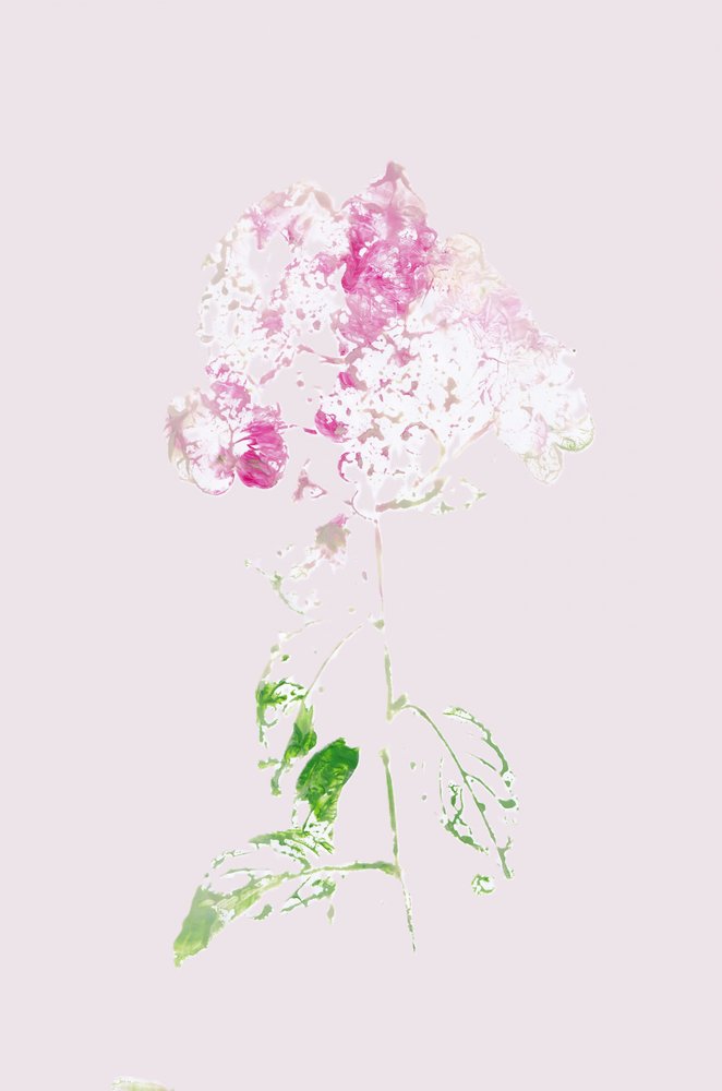 Abstrakte rosa Blüte von Maira Ribena