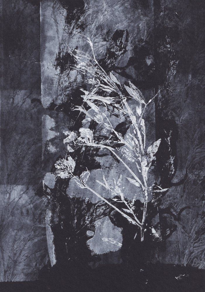 Schwarze Natur von Maira Ribena