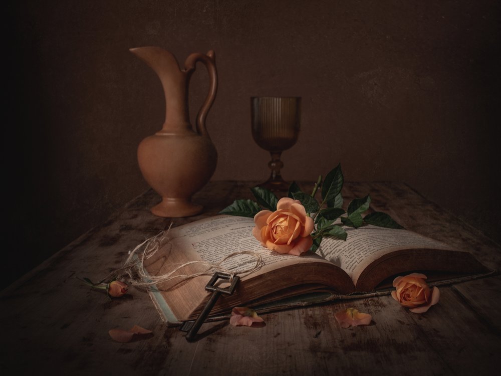 Dunkle Akademie Rosenbuch von Margareth Perfoncio