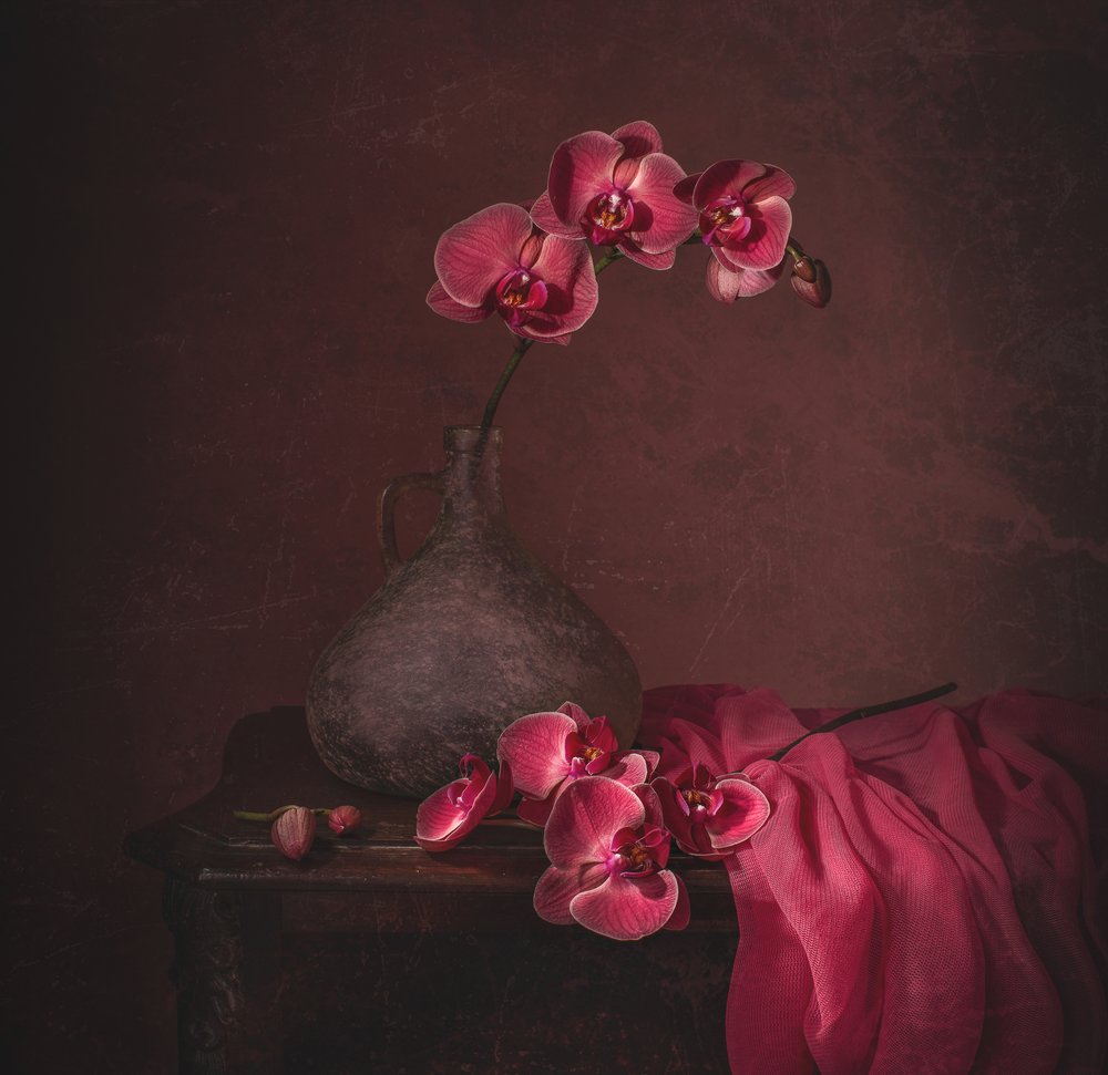 Dunkle Orchidee Stillleben von Margareth Perfoncio