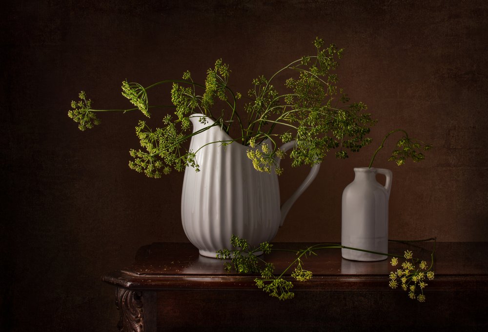 Dillblüten Stillleben von Margareth Perfoncio