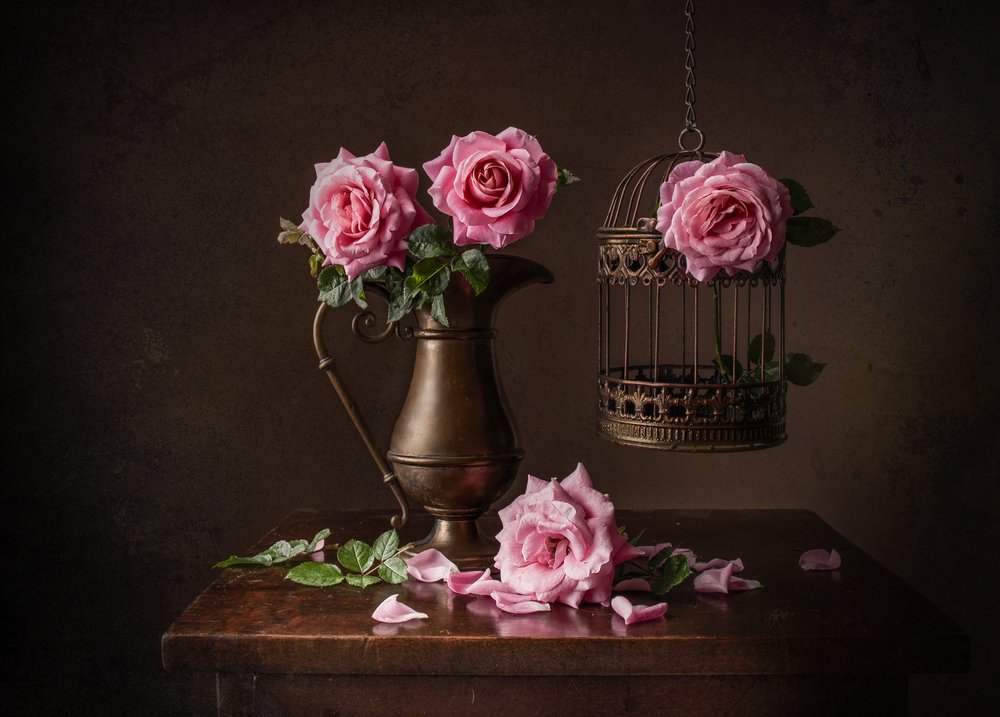 Stimmungsvolles Rosen-Stillleben von Margareth Perfoncio