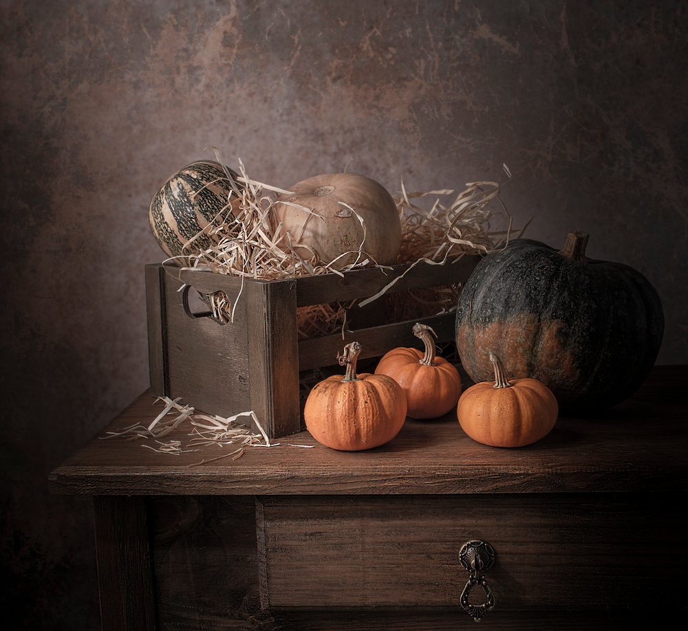 Rustikale Herbstkürbisse von Margareth Perfoncio
