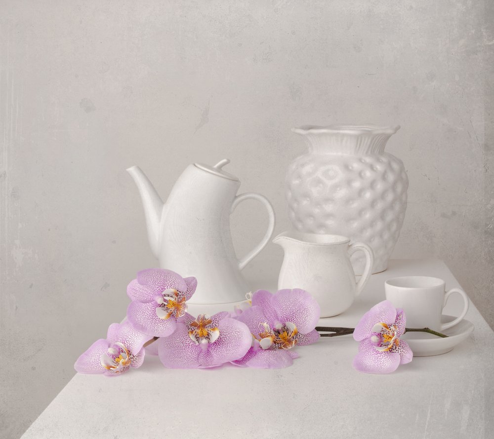 Weißes Orchideen-Stillleben von Margareth Perfoncio
