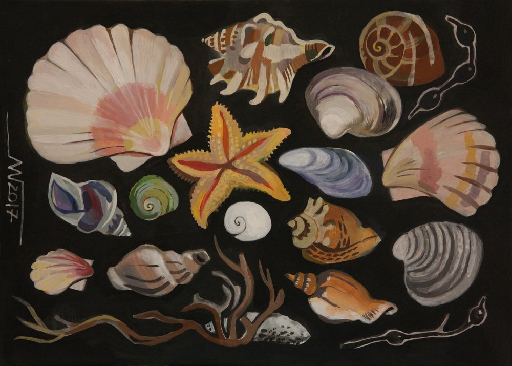 Muschelsammlung von Marina Gorkaeva
