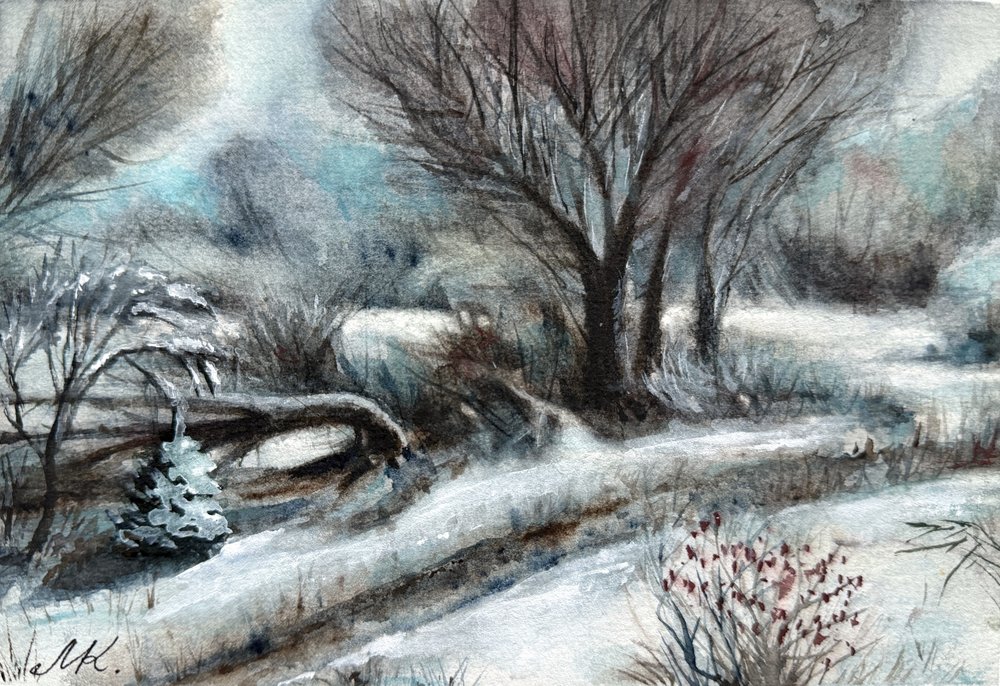 Verschneiter Winterweg von Marina Kozyr