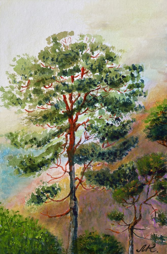 Kiefernwald in Aquarell von Marina Kozyr