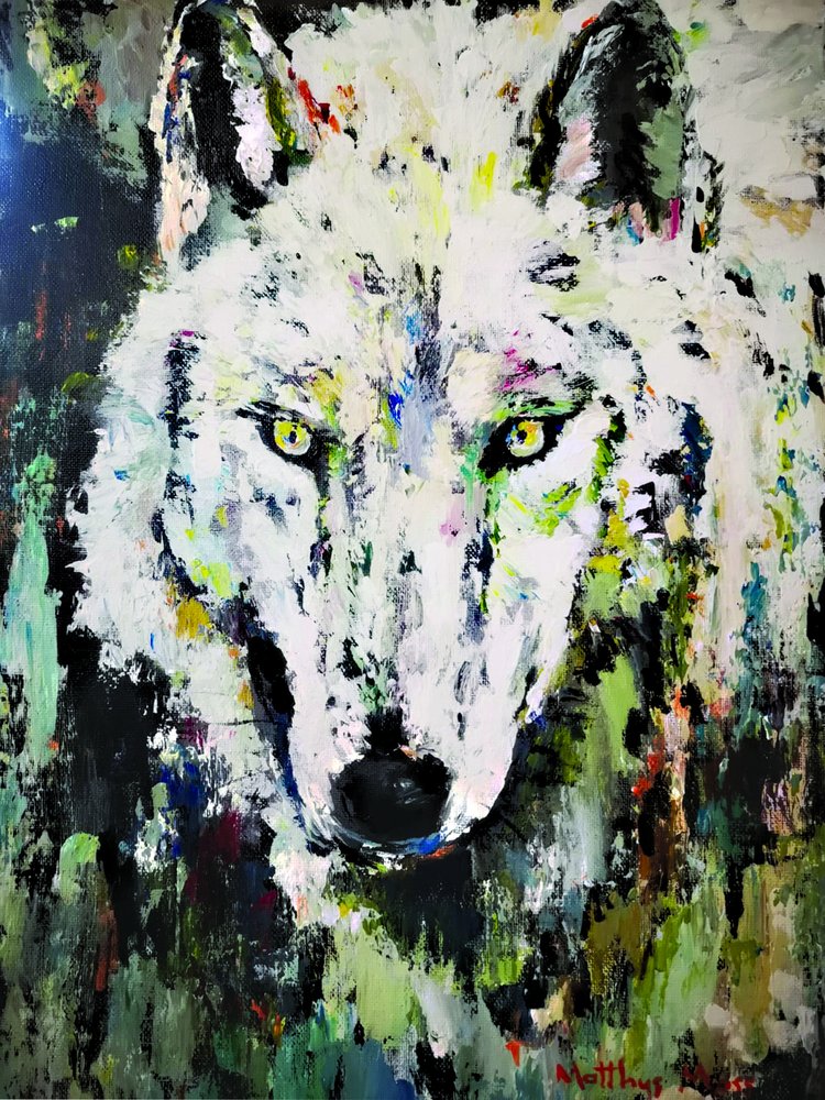 Weißer Wolf Blick von Matthys Moss