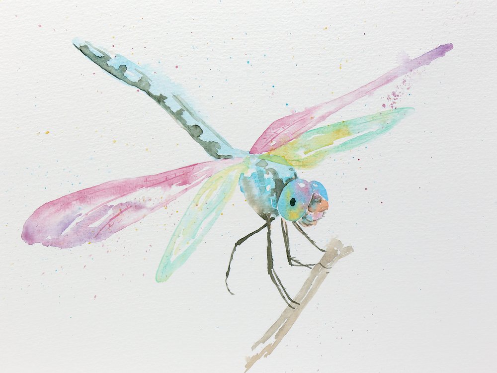 Libellen auf einem Ast in Pastellfarben von Natalie Bruns