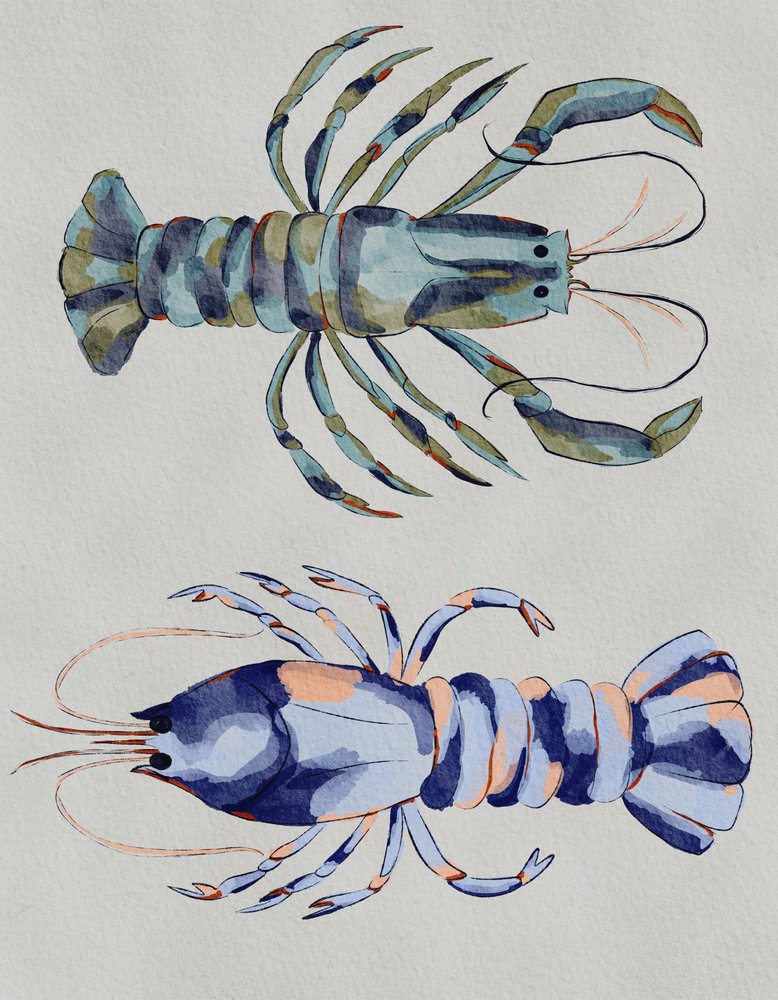 Blaue Hummer Aquarell von Nikita Jariwala