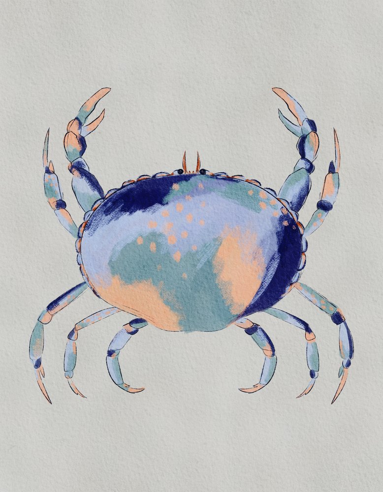 Gelassener blauer Krebs von Nikita Jariwala