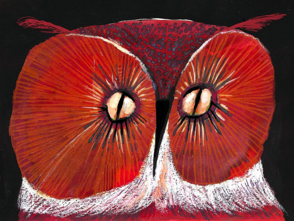 Intensive Rote Eule von Olga Skomorokhova