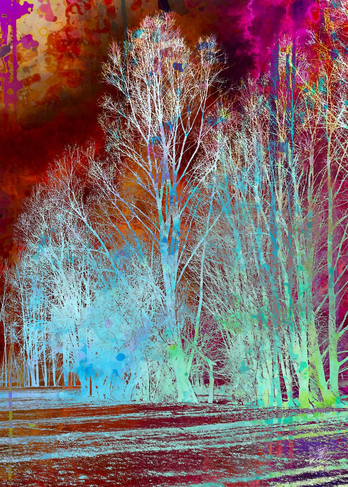 Surrealer bunter Wald von Osvaldo Russo