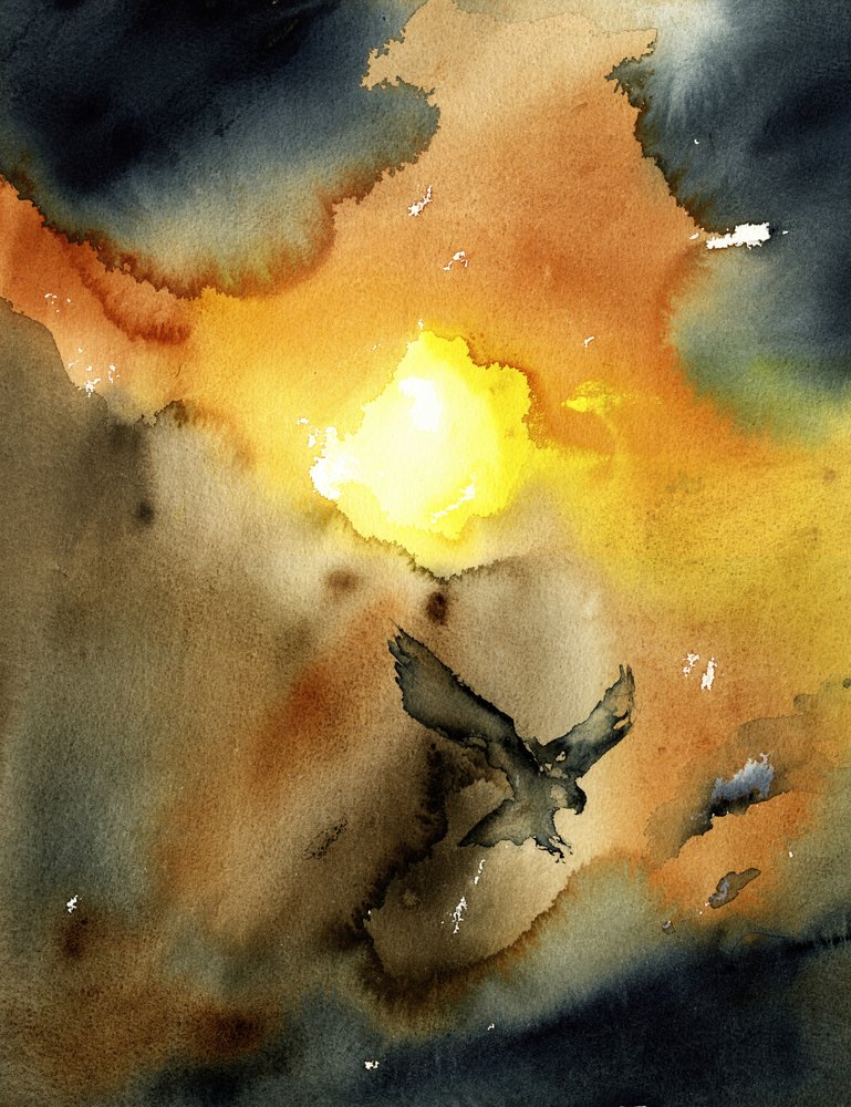 Adler im Sonnenuntergang von RodMacIver