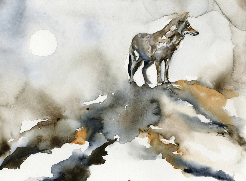 Einsamer Wolf Mond von RodMacIver