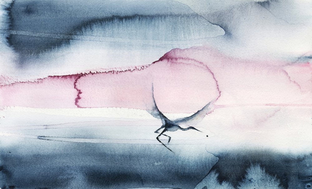 Vogel im Flug am rosa Himmel von RodMacIver