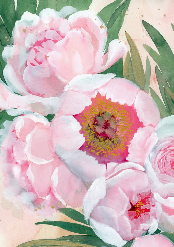 Rosa Pfingstrosenblüten von Rosana Laiz Blursbyai