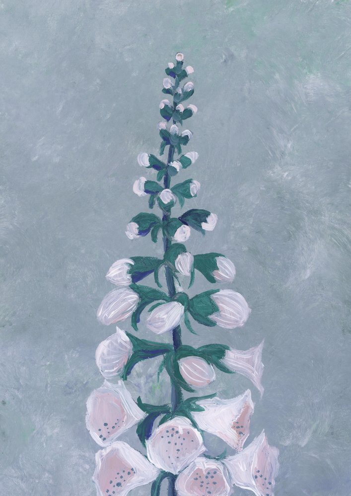 Weiße Fingerhutblüte von Rosana Laiz Blursbyai