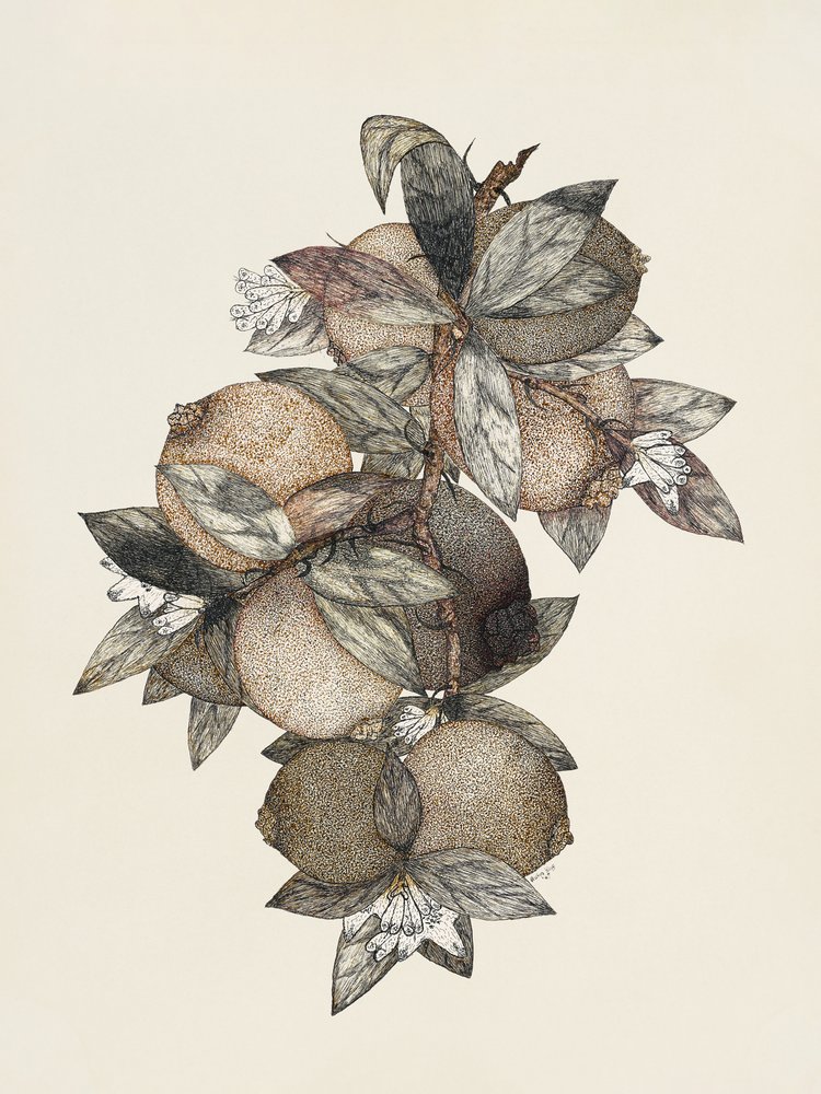 Granatapfel (1867) Rufus King von Rufus King